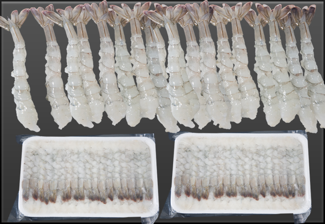 กุ้งขาวโนบาชิ